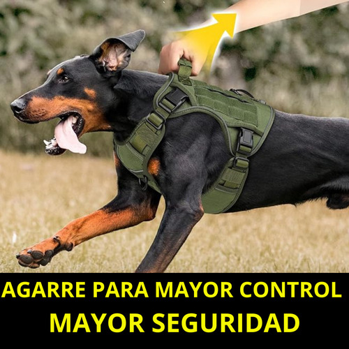 Arnes Para Perro- Pechera Pretal Antitirones Reforzado Verde Musgo L Cazador