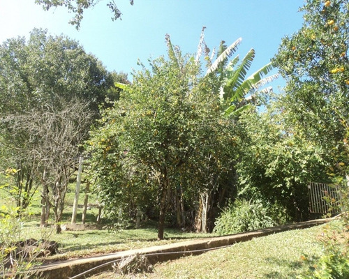 Imagem 12 de 30 de Sítio À Venda Em Juquitiba - 398 - 32982585