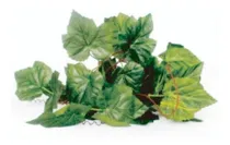 Comprar Enredaderas 2,3mts Reptiles Serpientes Deco Terrarios (me)