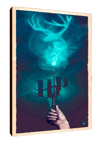 Cuadros Poster Harry Potter Hechizos M 20x29 (fyh (3))