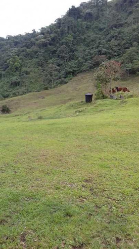 Venta Finca Planadas