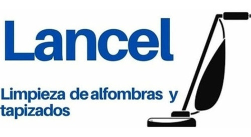 Imagen 4 de 4 de Servicio De Limpieza Y Desinfeccion De Tapizados Y Alfombras