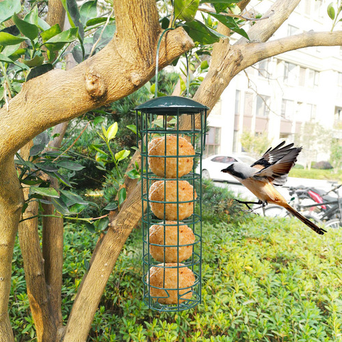 Alimentadores Suspensos L Bird Metal Feeder Janela De Visual