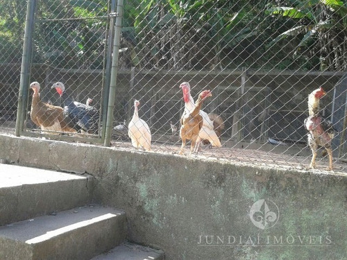 Imagem 29 de 30 de Chácara À Venda No Jd. Europa Em Campo Limpo Pta. - 12 Mil M², 02 Casas, Piscina, Asfalto Na Porta, Estuda Permuta. - Ch00131 - 2780602