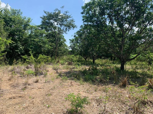 Imagen 5 de 12 de Terreno En Venta Rivera Cupia