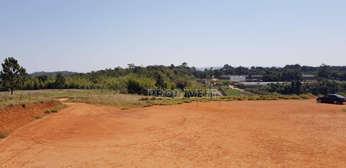Imagem 2 de 15 de Terreno À Venda, 20000 M² Por R$ 1.600.000,00 - Água Espraiada (caucaia Do Alto) - Cotia/sp - Te9001