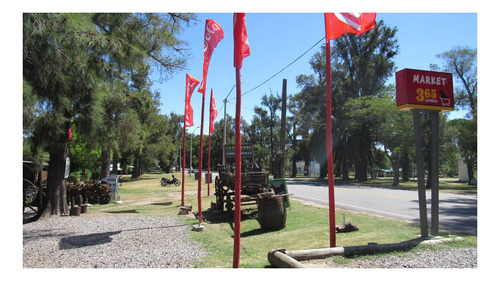 Imagen 5 de 8 de Local - Real De San Carlos