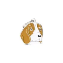 Comprar Chapita Identificadora Perro Beagle Grabado Gratis
