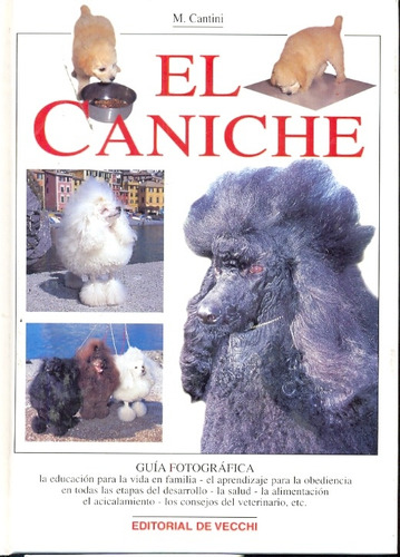 El Caniche, Micaela Cantini, Vecchi