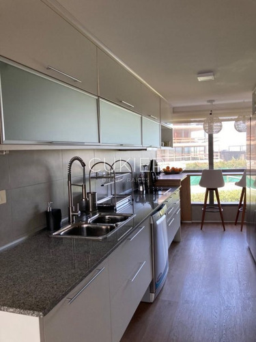 Imagen 7 de 25 de Alquiler Temporada Apartamento 3 Dormitorios En Primera Linea Frente Al Mar Playa Mansa Punta Del Este