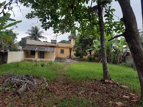 Imagem 9 de 30 de Chácara Em Parque Capivari, Duque De Caxias/rj De 3000m² 4 Quartos À Venda Por R$ 390.000,00 - Ch684259-s