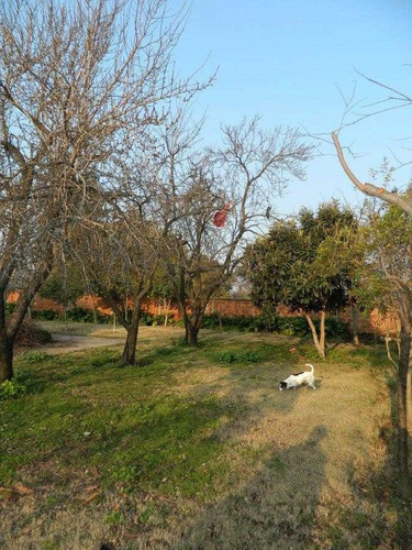 Imagen 11 de 16 de Gran Terreno En Arriendo