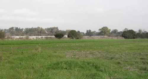 Imagen 9 de 13 de Terreno - Villa Astolfi