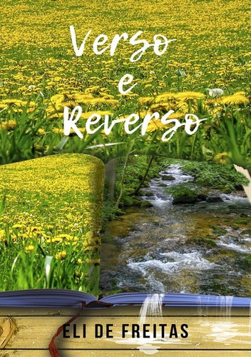 Verso E Reverso, De Eli De Freitas. Série Não Aplicável, Vol. 1. Editora Clube De Autores, Capa Mole, Edição 1 Em Português, 2021