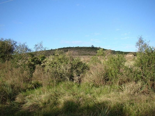 Imagen 8 de 15 de Chacra En Abra De Perdomo, Maldonado