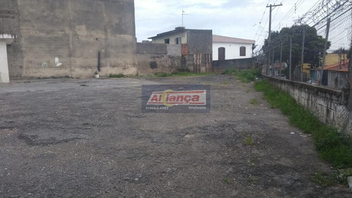 Terreno Para Alugar, 600 M² - Bom Clima - Guarulhos/sp - Ai16322