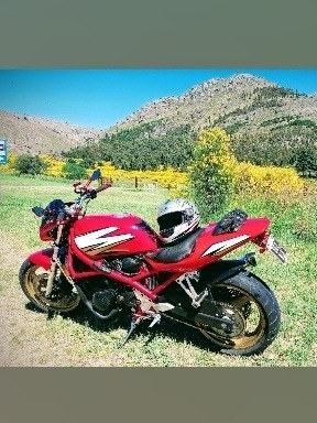 Imagen 10 de 11 de Suzuki Bandit