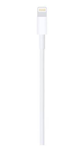 Cable Apple Lightning A Usb De 1 Metro Original iPhone