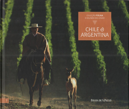 O Mundo Do Vinho - Chile E Argentina - Livro - Eduardo Viotti
