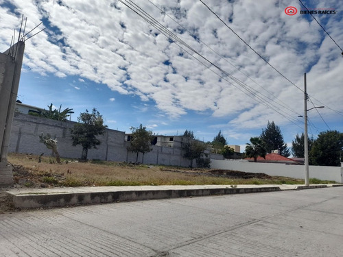 Ventade Lotes En La Reforma Ixmiquilpan