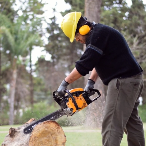 Motosierra a nafta Bta Tools 58cc MX5820P 2.2kW
