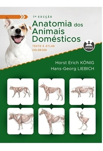 Anatomia Dos Animais Domésticos