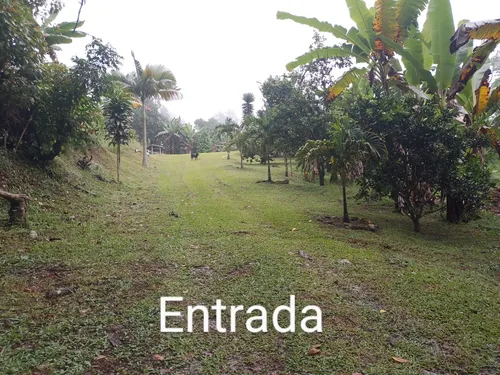 Vendo O Permuto Finca