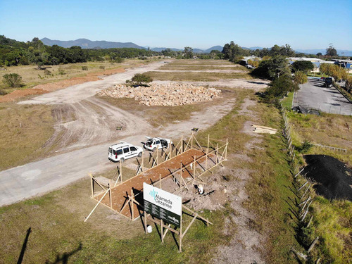Imagem 11 de 15 de Terreno À Venda Com 360 M² Na Praia De Canasvieiras Em Florianópolis/sc Ótima Oportunidade No Alameda Cézanne !!!! - Sc - Te0015_ccon