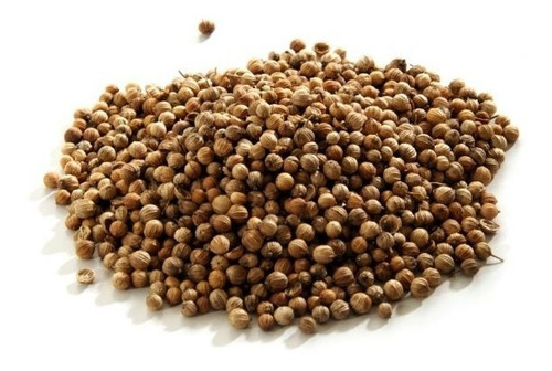 Semillas De Cilantro Criollo De Rancho 5 Kg
