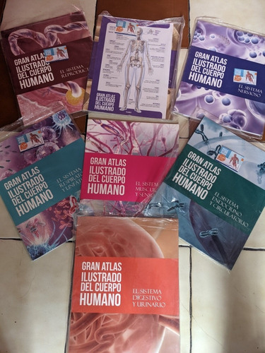 Vendo Gran Atlas Ilustrado Del Cuerpo Humano Nuevas 