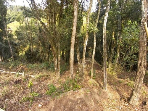 Imagem 13 de 15 de Cod - 5760 - Chácara De 1600m² Na Divisa De Ibiúna Com Pieda - 5760