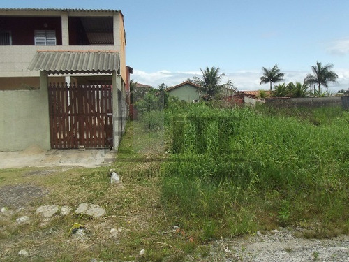 Imagem 17 de 29 de Terreno - Te00036 - 32363943
