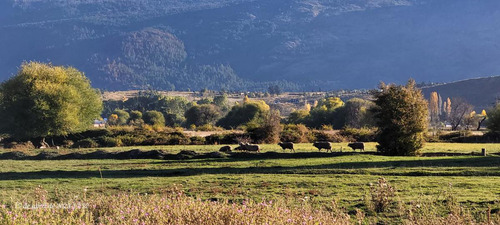 Campo En El Hoyo - Chubut