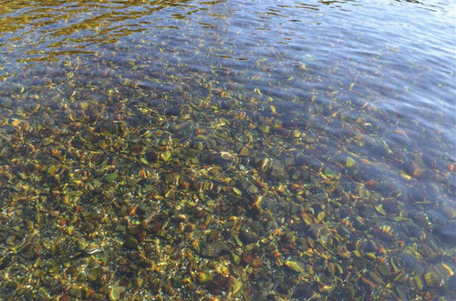 Parcela En Venta En Hualaihue