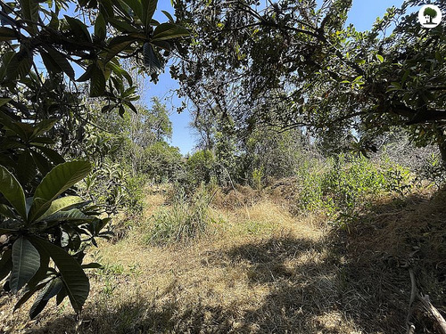 Sitio Para Proyecto Inmobiliario En La Reina