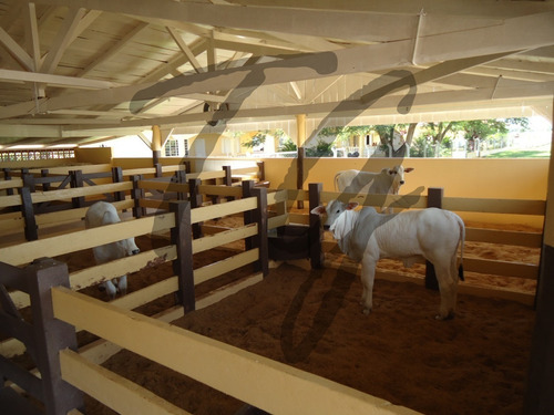 Imagem 5 de 13 de Fazenda - Fa00003 - 69828304