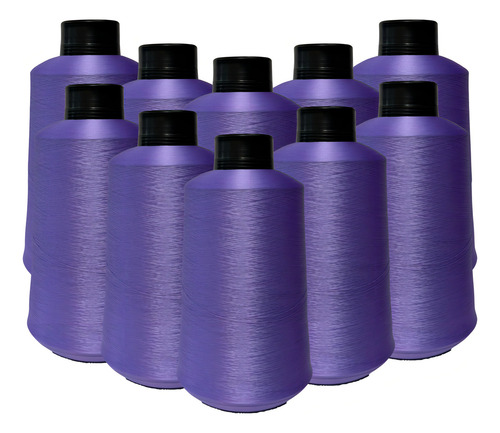 Kit Fio Overloque 500g - 10 Cones Colorido Cor Roxo
