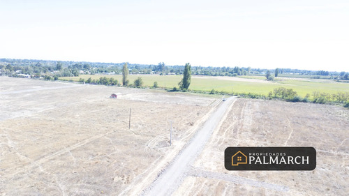 Parcelas En Venta  Camino A Cato, Chillán