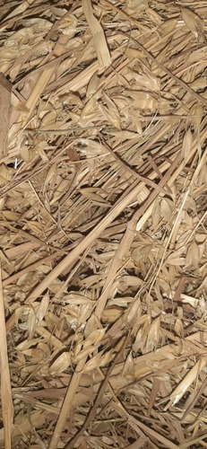Imagen 2 de 2 de Heno De Avena. Cobayos Cuises Conejos