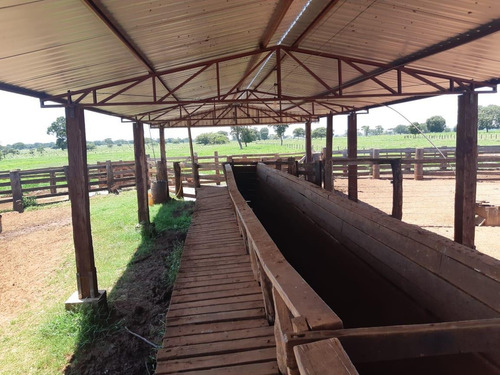 Imagem 4 de 11 de Fazenda Para Venda Em Santa Rita Do Pardo, Rural - Fazgu 315_1-1947859