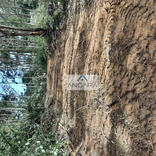 Imagem 3 de 3 de Area De 1000 Metros Para Formar Chacara Em Local De Muita Agua E Sossego ! - Ch0020