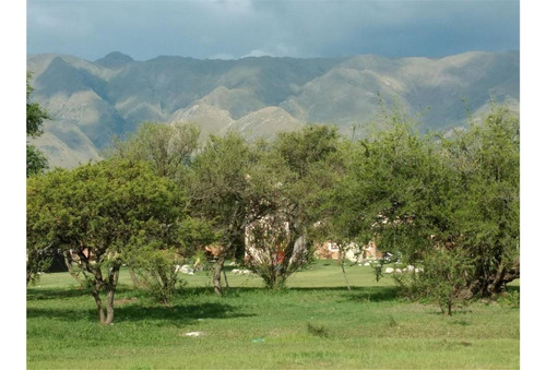 Imagen 5 de 10 de Precioso Lote A 8 Cuadras De La Plaza Central!