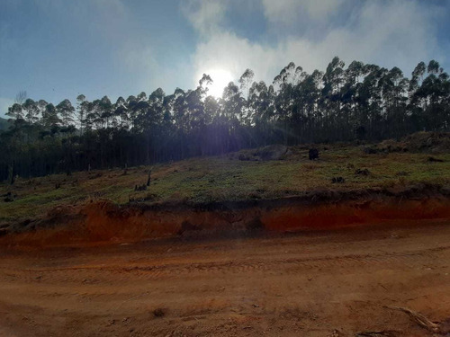Imagem 7 de 9 de Terrenos De 1000² Para Sua Casa-interior De Sp