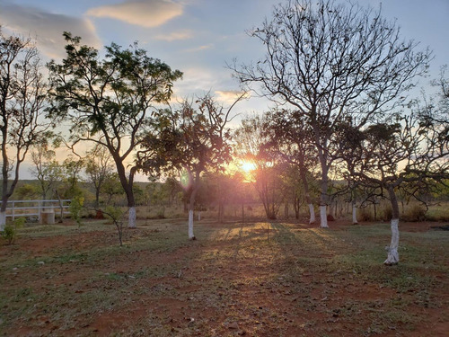 Fazenda Lagoa Santa 20hectares - 3619