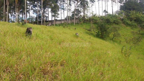 Imagem 8 de 12 de Área À Venda, 21786 M² Por R$ 1.100.000,00 - Jardim Nossa Senhora Das Graças - Cotia/sp - Ar0479