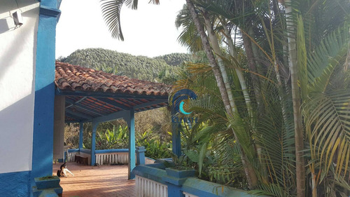 Imagem 5 de 30 de Fazenda À Venda, 290000 M² - Das Laranjeiras - Paraibuna/sp - Fa0005
