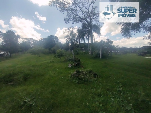 Imagem 7 de 30 de Chácara A Venda No Bairro Fragata Em Pelotas - Rs. - 1627-1