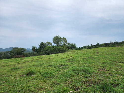 Finca De Oportunidad En El Cupey, Puerto Plata 