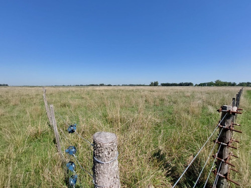 Vendo Lote Grande En Un Pueblito Rural, Saladillo