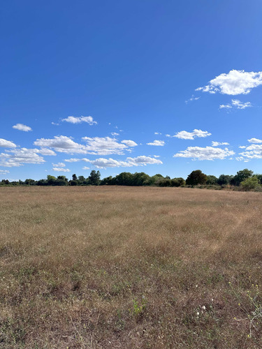 Gran Sitio Urbano Desarrollo Inmobiliario (94249)